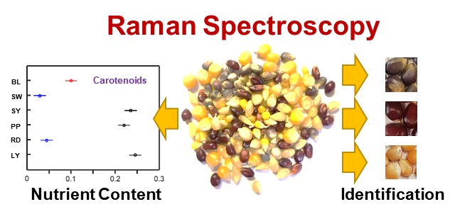 Colorful_corn_TOC(1)