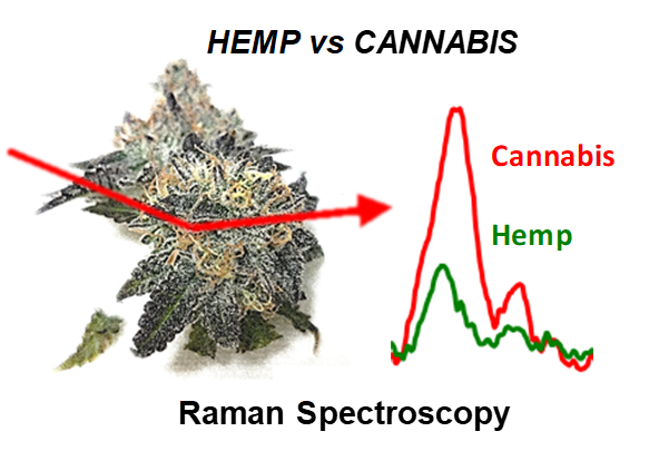 hemp_cannabis
